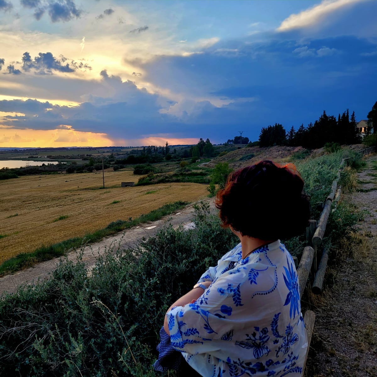 Pilar de Diego tweet media