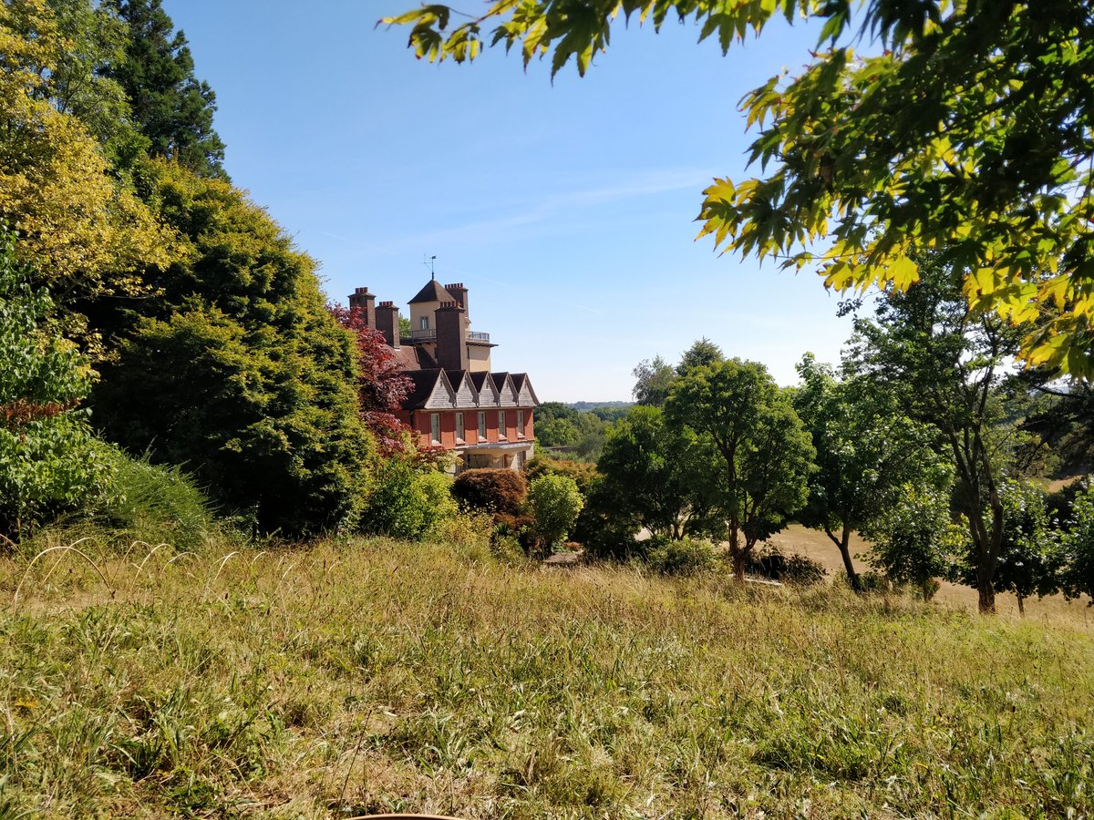 Standen NT tweet media