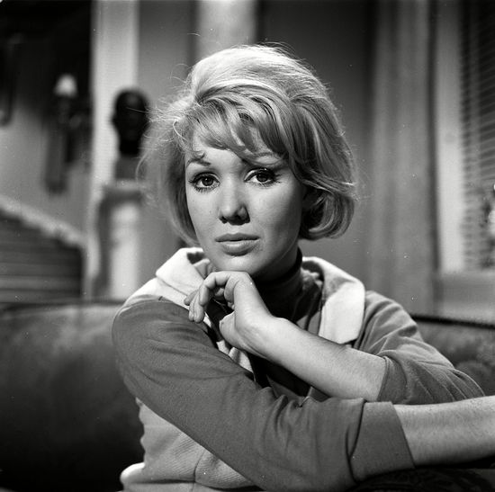 Zoe's feather boa 19K on Twitter "RT RodneyMarshall1 A very early