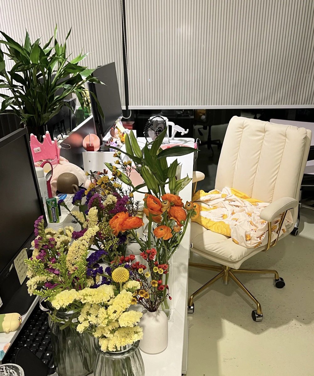 Xiner44's tweet photo. 在公司养了许久的花～每每都让我赏心悦目。你们觉得哪个最好看呢 https://t.co/f5oMwEwNXG