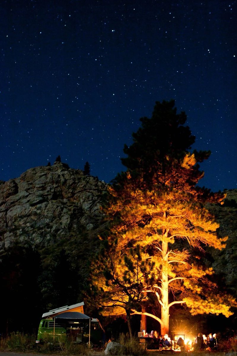 In the wilderness, find solace beneath the stars and rediscover the simplicity of life in a tent.🏕

#campinglife #tentlife