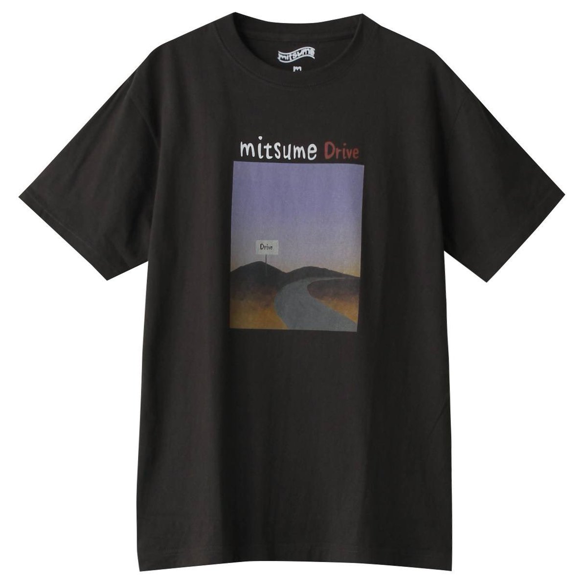 mitsumeさん専用 CARBON COLLECTIVE（カーボンコレクティブ）】Supreme Plush Wash Mitt