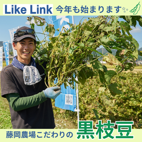 LikeLink350's tweet photo. 『#LikeLink×#藤岡農場』
#藤岡啓志郎 さんとのコラボ企画✨

🔻新着投稿
『七代目藤岡農場で黒枝豆の種まきスタート！』🧑🏻‍🌾
https://t.co/sQ9G5yoa8l

#丹波黒枝豆 #黒枝豆 #農業 #野菜作り #無農薬 #有機JAS #農家さんと繋がりたい #農業好きな人と繋がりたい #環境保全型農業 #環境保全 #兵庫県 https://t.co/xccz2RttgY