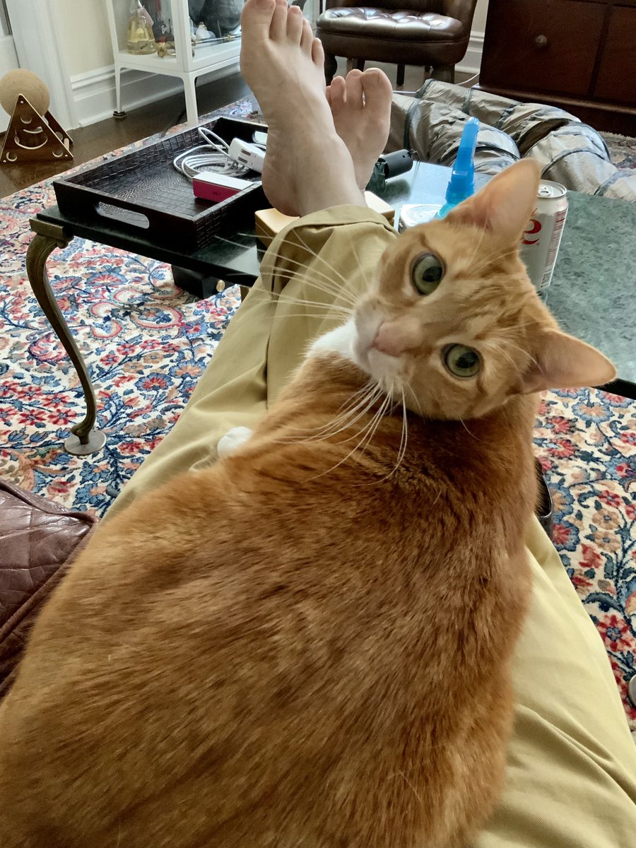 Samuel Lloyd Kinsey tweet media