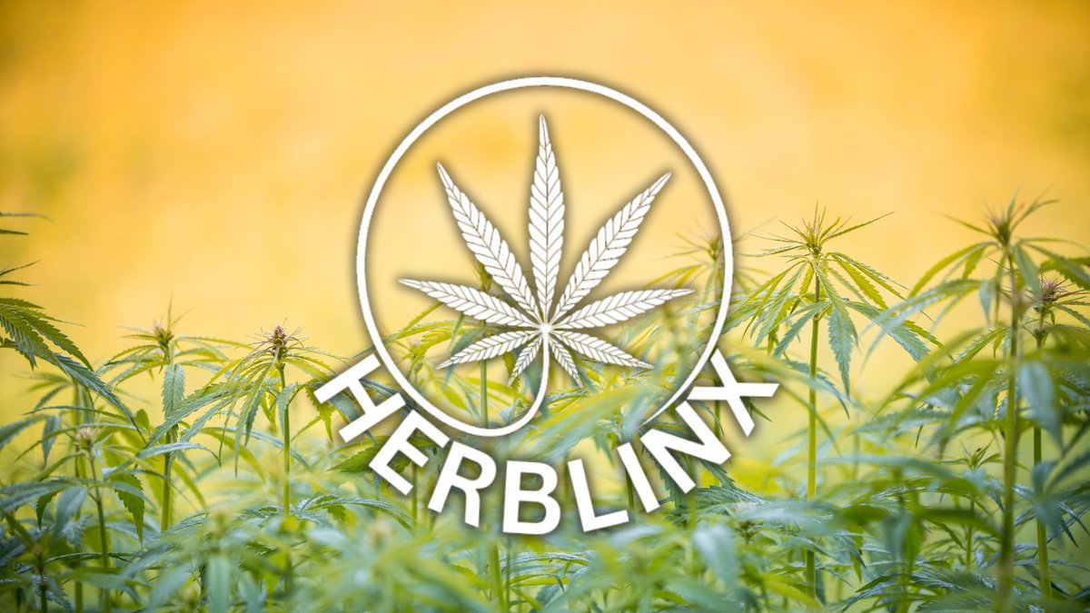herblinx's tweet photo. Exciting news! Senate Banking Committee Chairman Sherrod Brown is prioritizing the bipartisan marijuana banking bill. A crucial step forward for cannabis businesses' financial access. #CannabisBanking #Progress #HERBLINX 

https://t.co/JZIu9Qjuf5 https://t.co/HLqlBMmGlt