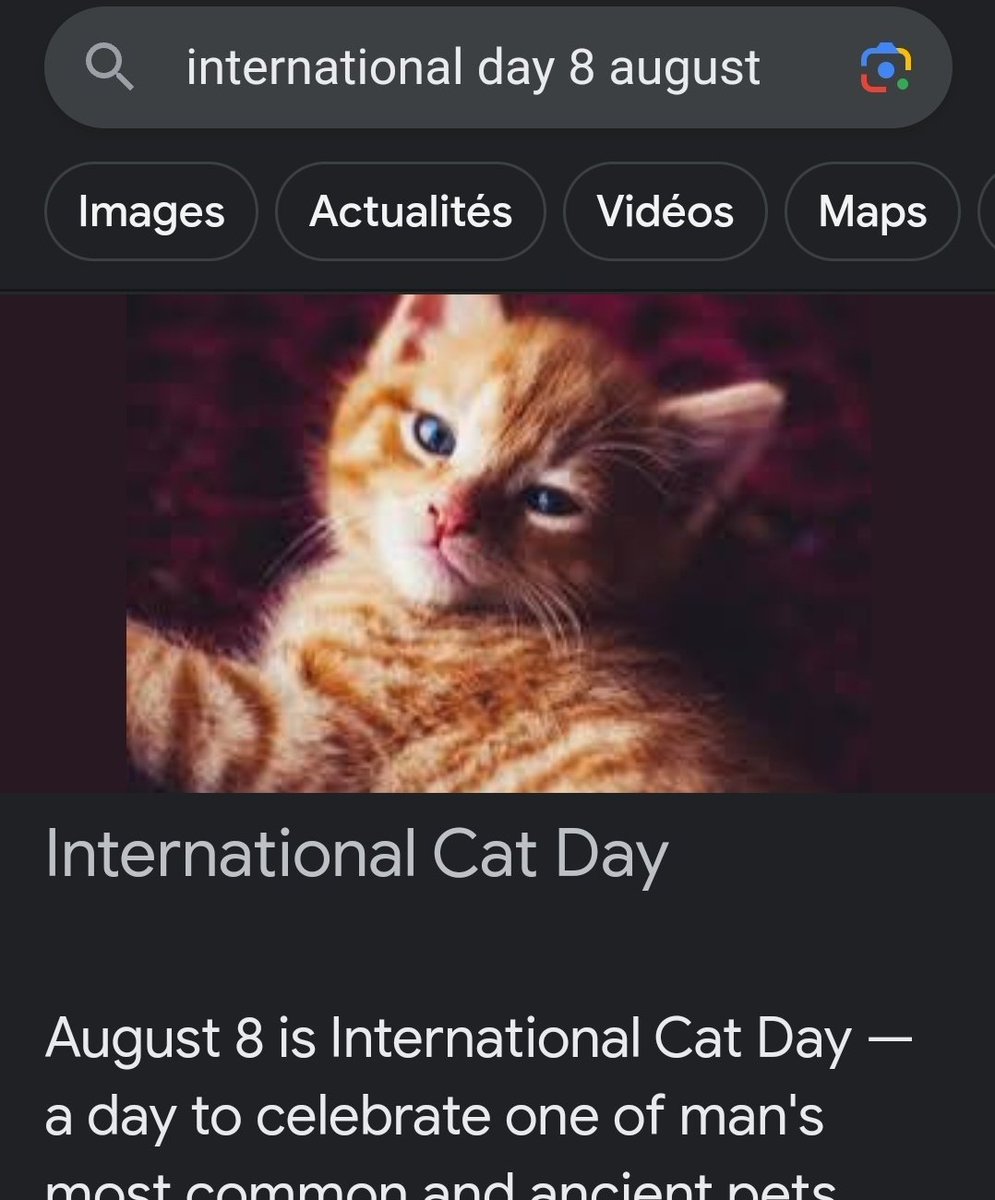 My birthday is international cat day, what's yours? https://t.co/5fcJk1cn4v