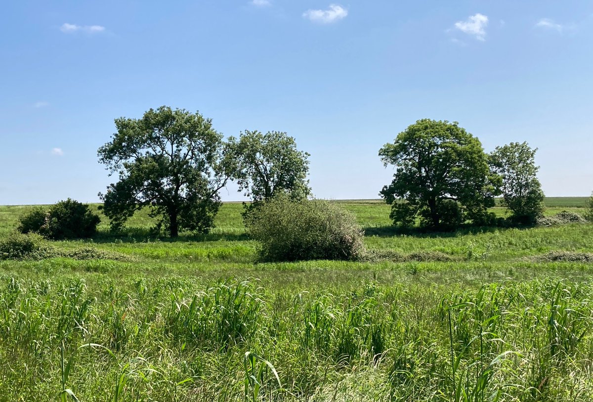 bbquarterly's tweet photo. Wild Bedfordshire. https://t.co/KgsnmVHifv