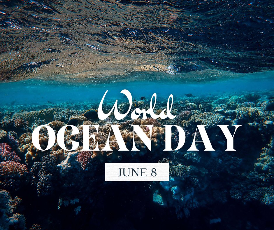 Happy World Oceans Day! Let’s protect our oceans today and everyday! #worldoceansday 🌊 #protectouroceans