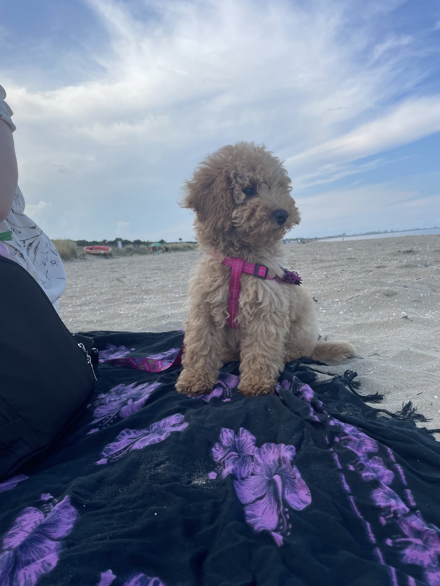 Her first beach day(s) 🥹