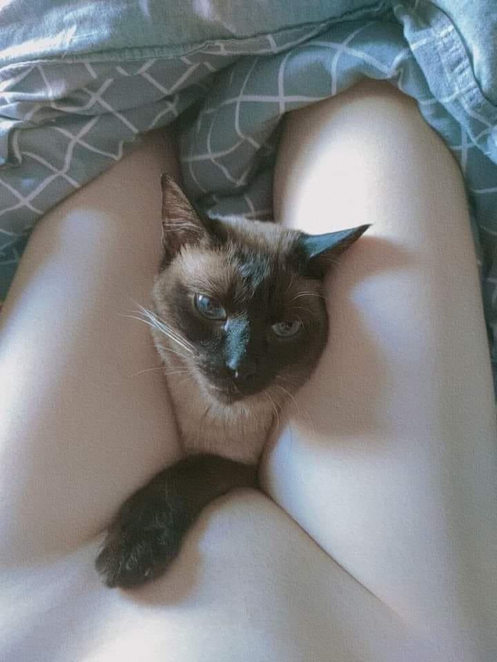 Good evening❤️ eat my pussy??🐱💦