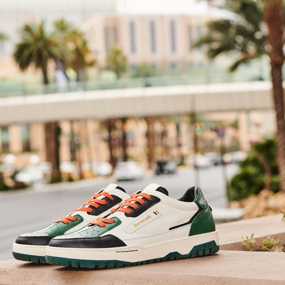 BarracudaShoes's tweet photo. Live from the USA https://t.co/DqxzAa4Hxp