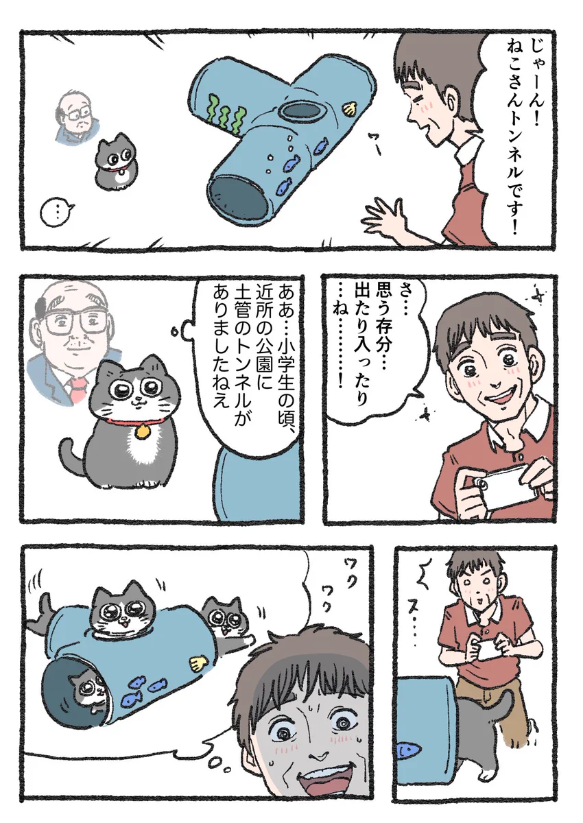 「ねこ転」その124が公開！「ねこさんトンネル」で遊んだプンちゃんの反応は…！？