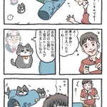 「ねこ転」その124が公開!「ねこさんトンネル」で遊んだプンちゃんの反応は…!？