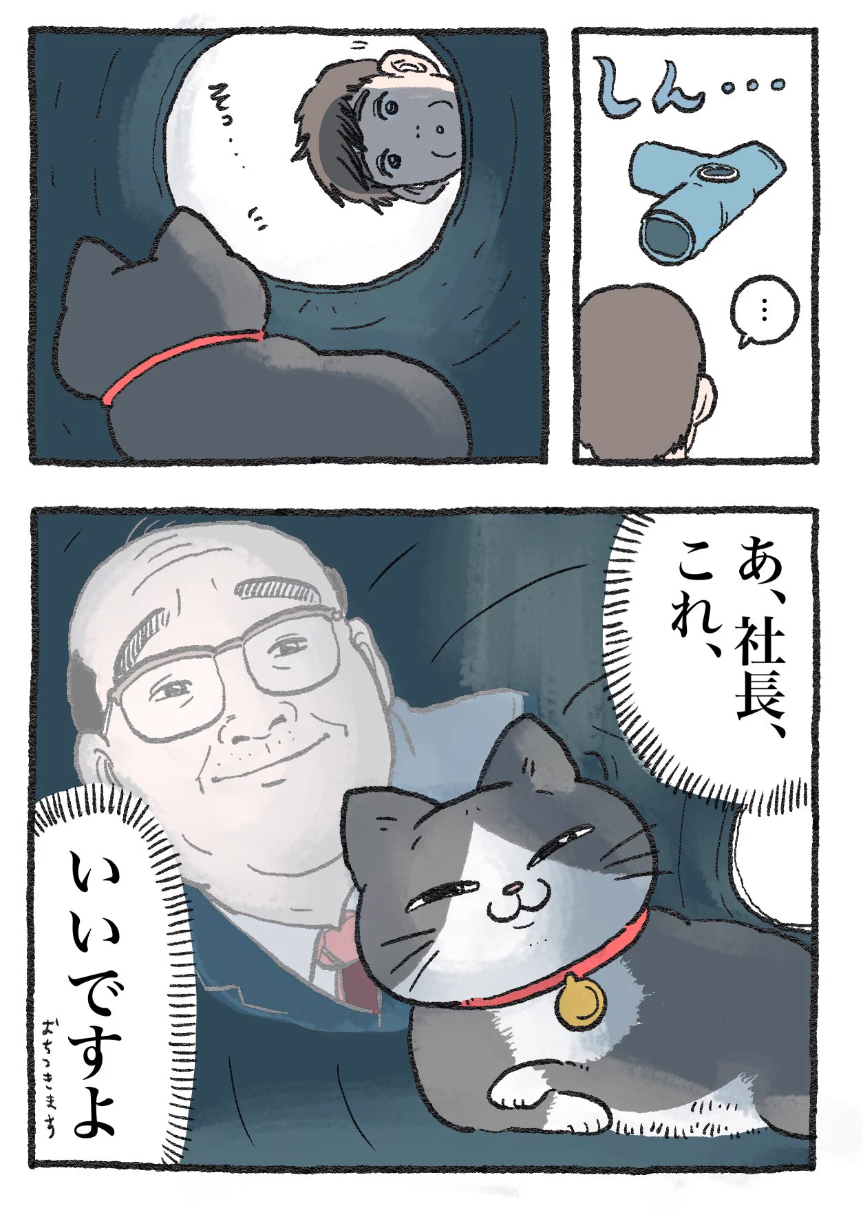 「ねこ転」その124が公開！「ねこさんトンネル」で遊んだプンちゃんの反応は…！？