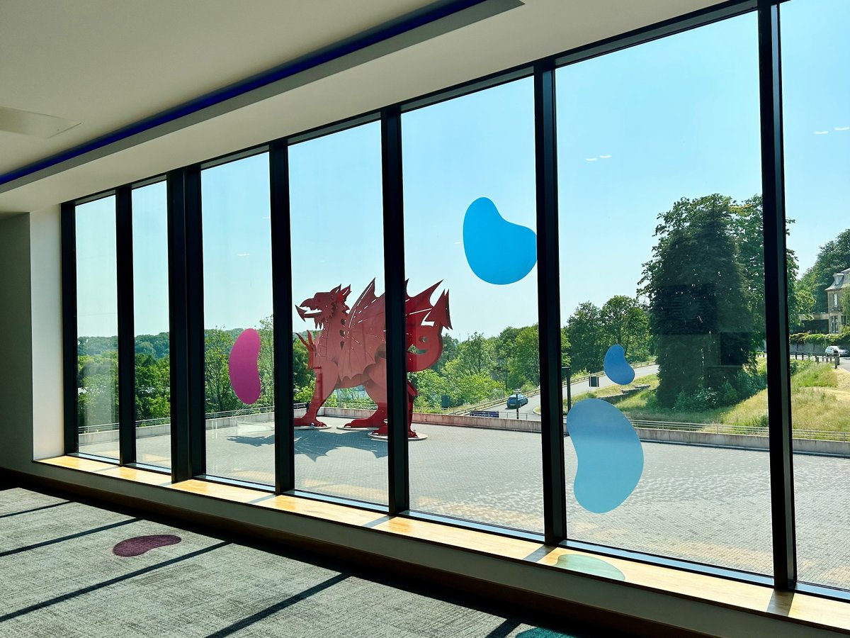 KickstartSigns's tweet image. The team will be dreaming about kidneys for a few days!! Our translucent vinyl kidney stickers popped up everywhere!! 🏴󠁧󠁢󠁷󠁬󠁳󠁿
#exhibitiongraphics #exhibitionsignage #signs #signage #exhibitions