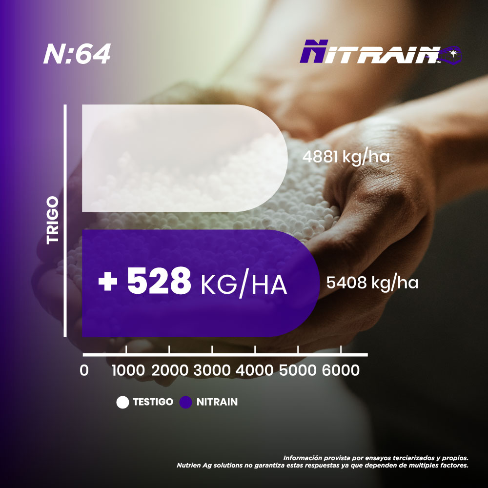 NutrienDigital's tweet photo. 👉🏻 Te presentamos el mejor aliado para evitar pérdidas de nitrógeno por volatilización.
¡Respuesta comprobada! ✅
¡Comprobalo vos tambien! 🙌🏻
#NutrienAr #Nitrain https://t.co/zmYBMknjX5