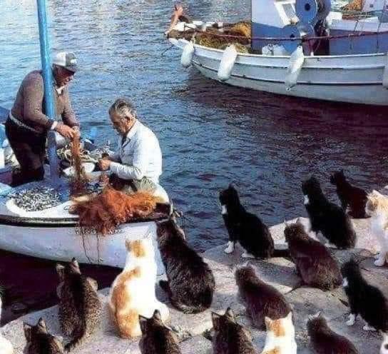 Eminönü  /1995  🤗🎬📸