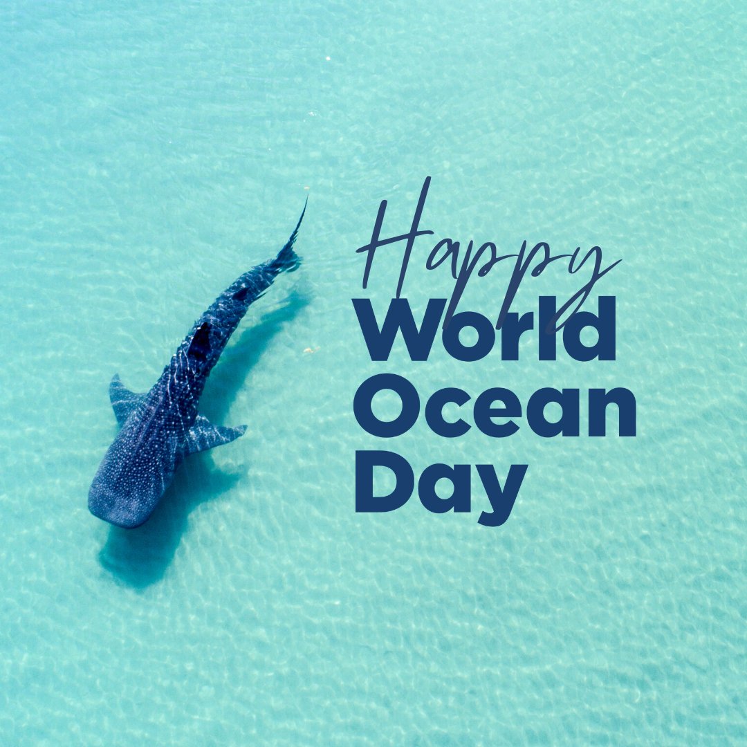 This #WorldOceanDay let’s show and grow support for the movement to protect at least 30% of our blue planet by 2030. Together we can turn the tide, curb the climate crisis and protect biodiversity worldwide.
WorldOceanDay.org/30x30
#OceanClimateAction #30x30