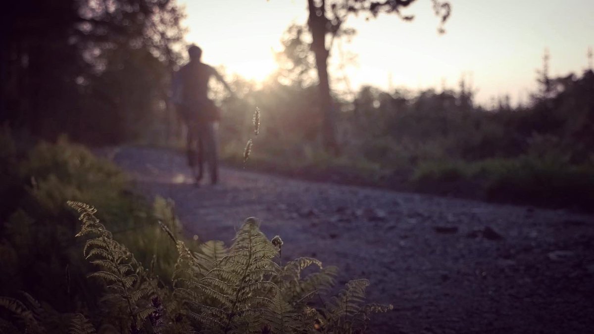mtbbikepacker's tweet image. This film has been a really interesting project,i experimented to try and build a narative of the environment and ride, a very different approach to putting a film together.
#alpkit #sonderbikes #sondersignal #hardtail #bikepacking #devon #restrap #bikepackinglife #fujixseries