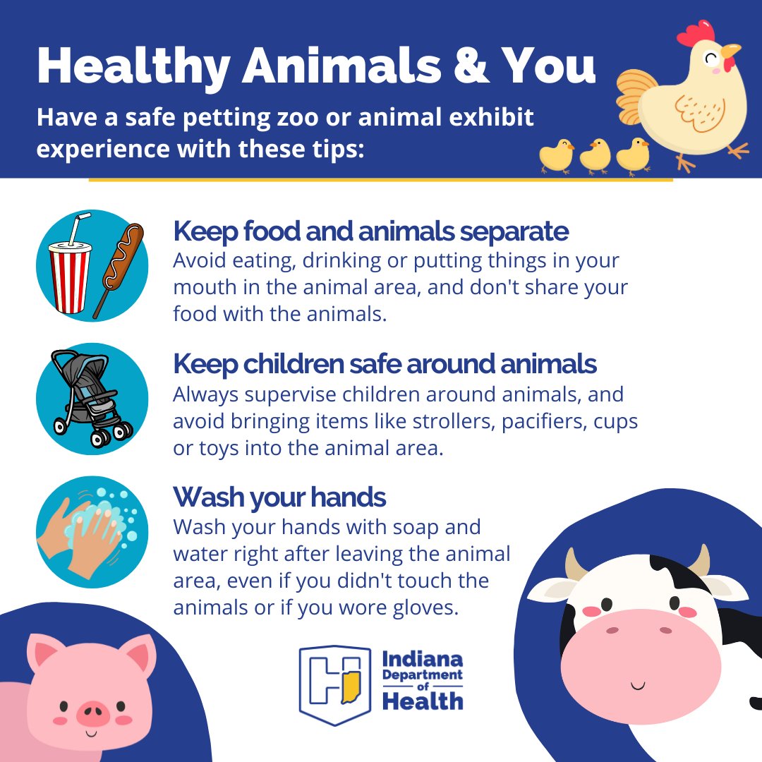 Taking your kids to a petting zoo or the county fair this summer? 🐷 Follow these tips to stay healthy after visiting the animals:  bit.ly/3I92YNu.