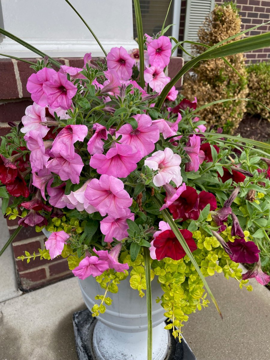 Forest Springs HC tweet media