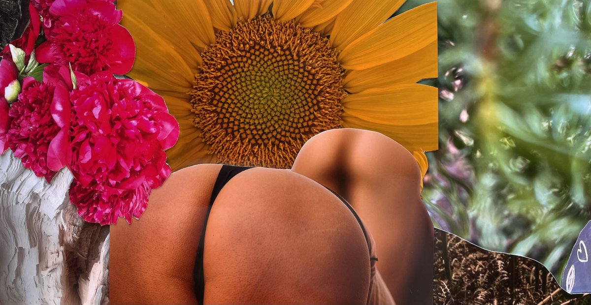 Meagan O'Shea tweet media