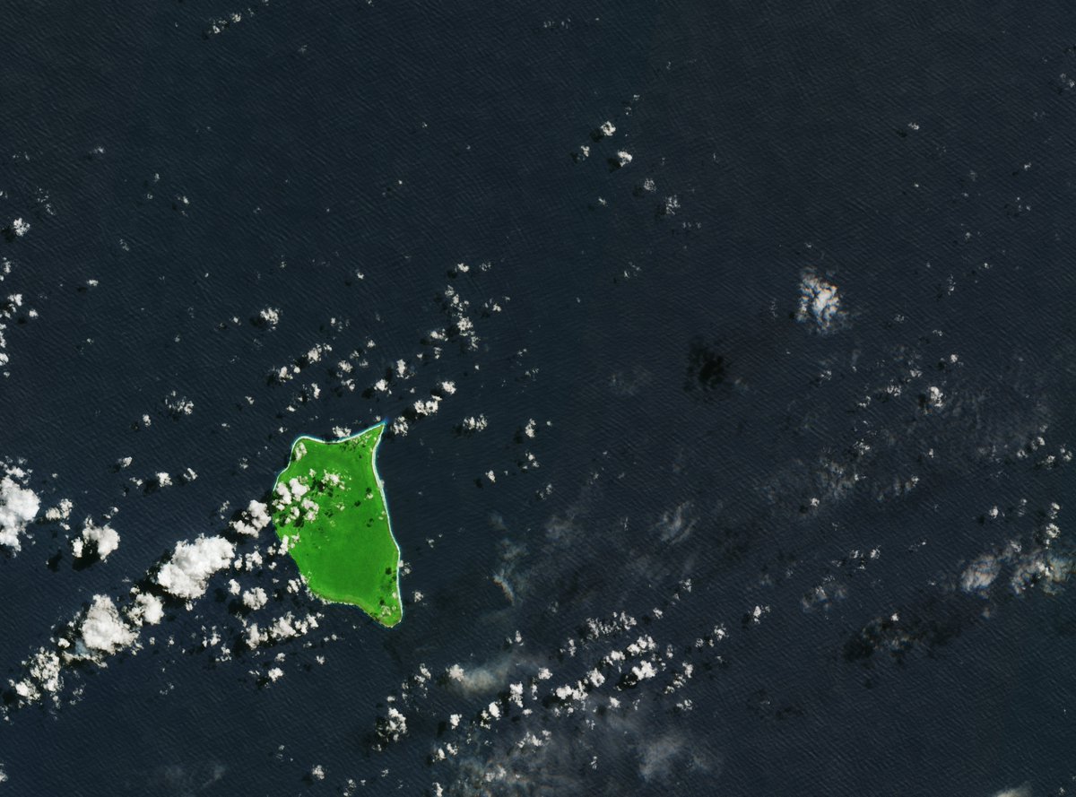 Happy #WorldOceanDay  my friends! 🌊
☀🏝 On one of my missions, I found this beautiful, idyllic island in the South Pacific - Henderson Island. A coral atoll and one of the world’s biggest marine reserves, that is recognized as <a href="/UN/">United Nations</a> #WorldHeritage site. 🐟🐙

🧵(1/3)