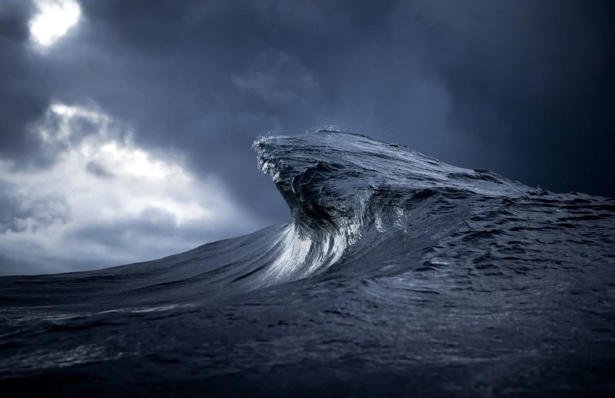Beyond the sea tweet media