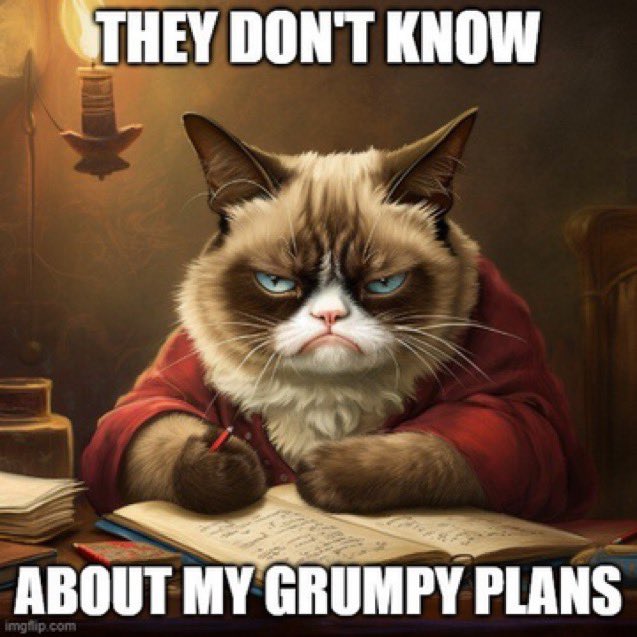 DaCryptoCat tweet media