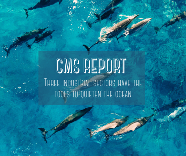 OceanCare's tweet image. Today, the @BonnConvention  released a Technical Report providing an overview about quieting technologies and practises in 3 industry sectors: shipping, hydrocarbon exploration and pile driving when constructing offshore windfarms. oceancare.org/en/stories_and…