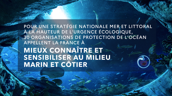 #TRIBUNE Nausicaá signataire de la tribune menée par @ocean_climate 'Océans : l'urgence d'une stratégie nationale', à l'occasion de la Journée Mondiale de l'Océan 🌊 #JMO2023 ▶ bit.ly/3NltTde