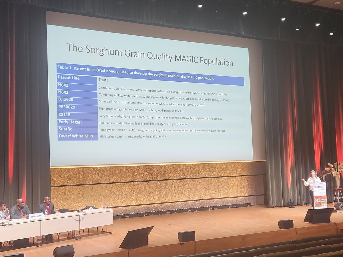 Emma Mace (@emmaomics) on Twitter photo Magic sorghum! Melinda Yerka from <a href="/unlagrohort/">Nebraska Agronomy and Horticulture</a> describes a great new resource for both applied and fundamental research in sorghum from trait discovery to deployment.
<a href="/21CentSorgh2023/">21centurysorghum 2023 Montpellier</a>
#sorghum23 Magic sorghum! Melinda Yerka from <a href="/unlagrohort/">Nebraska Agronomy and Horticulture</a> describes a great new resource for both applied and fundamental research in sorghum from trait discovery to deployment.
<a href="/21CentSorgh2023/">21centurysorghum 2023 Montpellier</a>
#sorghum23
