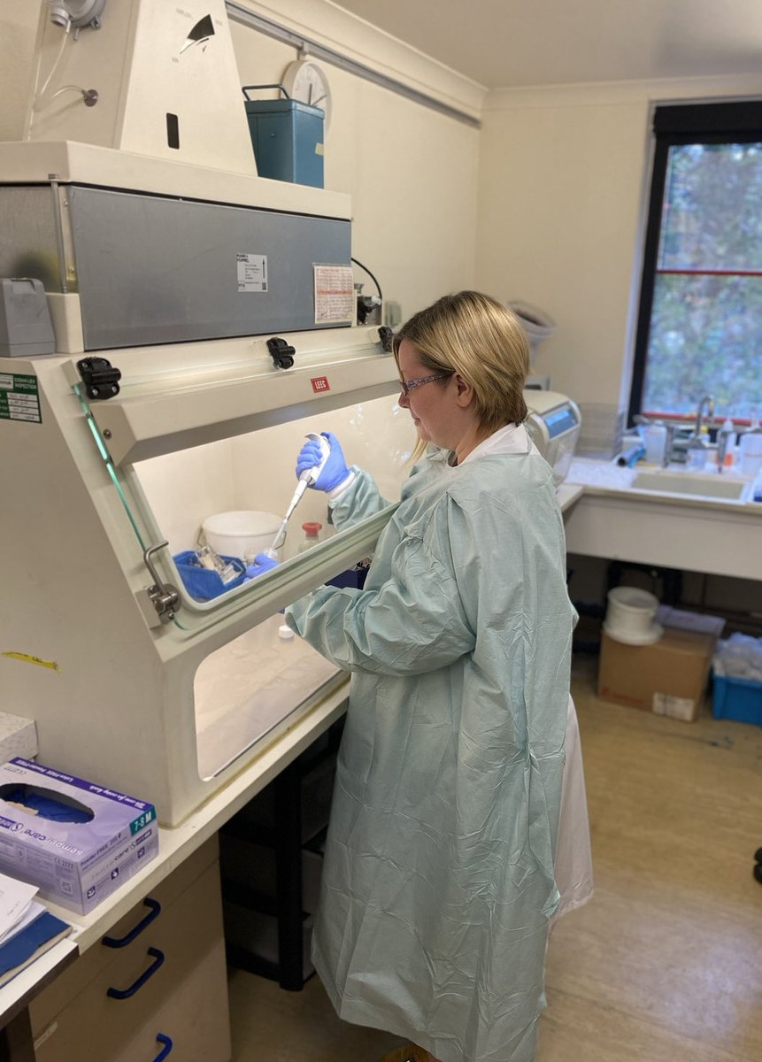 gleni77's tweet photo. Celebrating #biomedicalscienceday2023 shout out to all the scientific and technical staff working hard behind the scenes up and down the UK  #heartofhealthcare - I’ll be showcasing the work our team in Cellular Pathology carry out shortly 🙌🏻 https://t.co/bm1rAytrmI