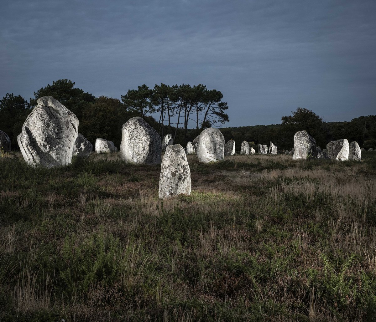 jcmos's tweet photo. #megalithes #carnac © Jean-Claude Moschetti https://t.co/JPPMA6L9NL