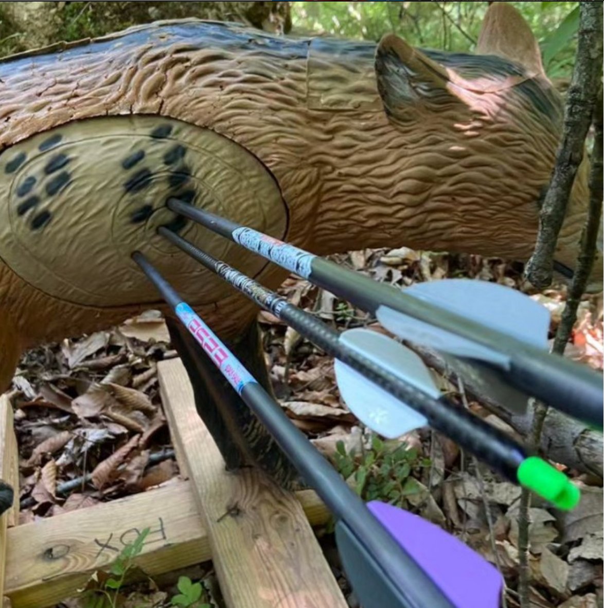 VaneTecInc's tweet photo. Great shooting #mikesweigart 
#vanetecvanes
Yesterday...PA State ASA Qualifier...today...ribs!! #60xstrings #60xcustomstrings #60xprostaff #vanetec #victoryarchery #thecarbonarrowexperts #psearchery #bowfingerarchery #bowcreekoutdoors
https://t.co/WQyhhEemzz https://t.co/nIhAgktrRJ