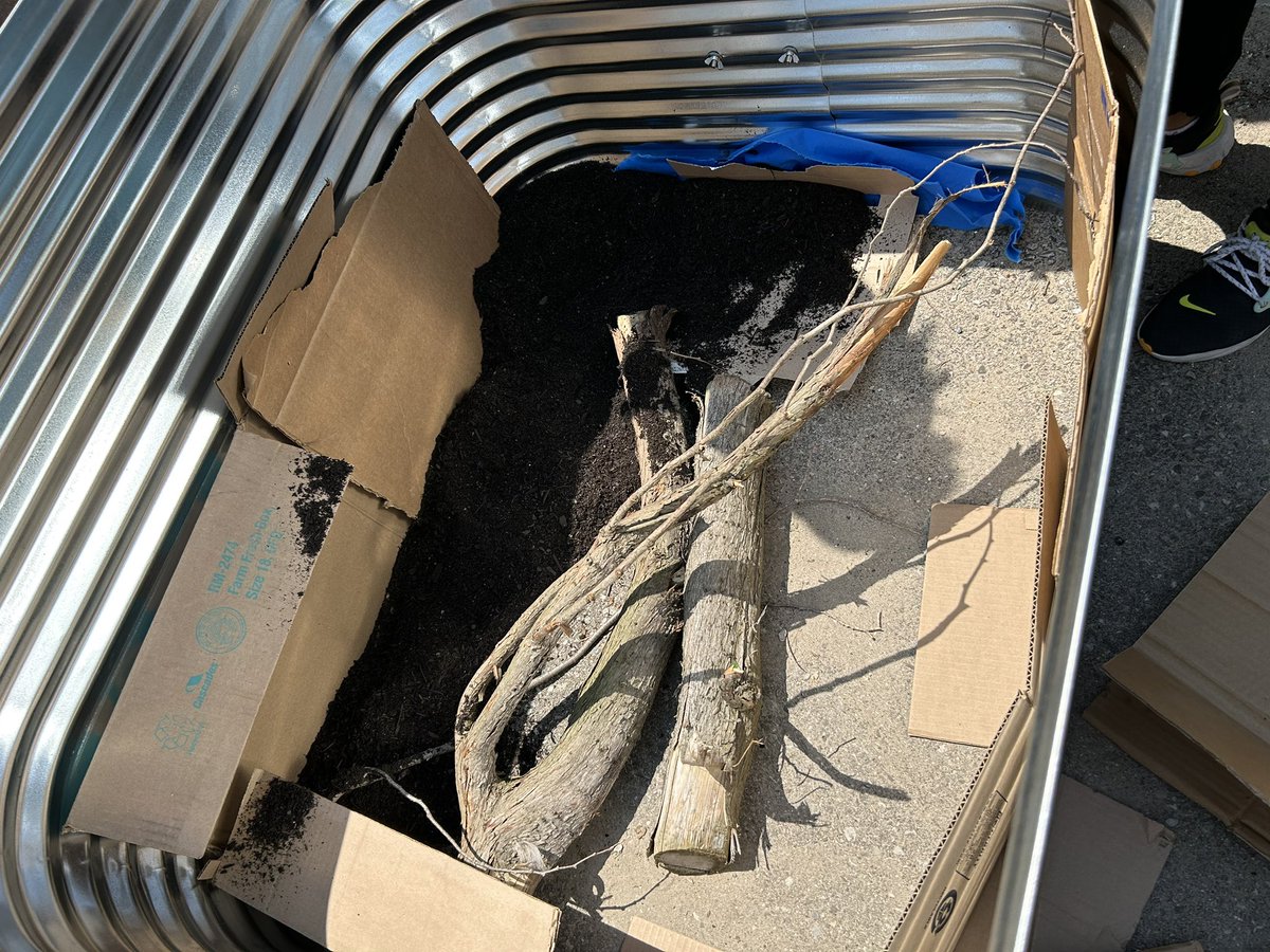 Planting vegetables is an awesome way to teach students. So much learning taking place! Looking forward to the results! <a href="/WellingtonCath/">Wellington Catholic DSB</a> 
#RaisedGardens
#LearningWhileDoing