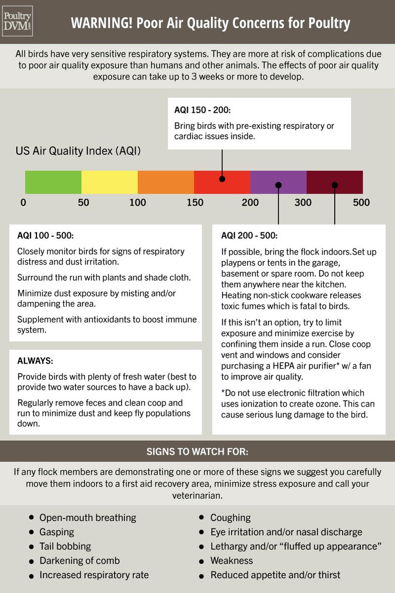 PoultryDVM's tweet image. #AirQualityAlert concerns for #backyardchickens