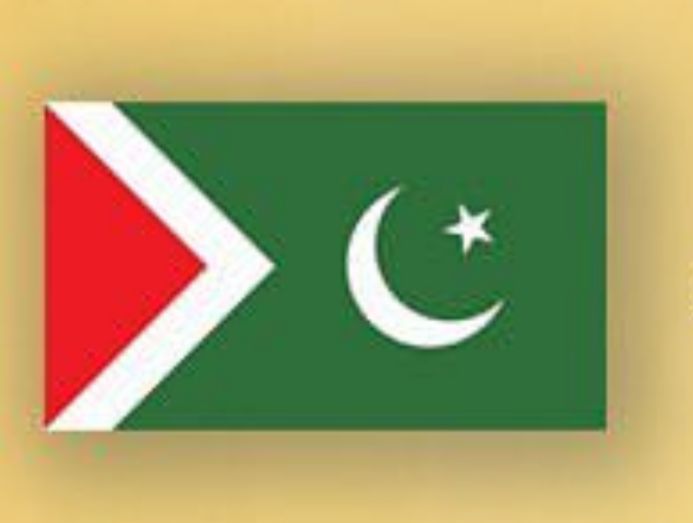 جہانگیر ترین کی زیرقیادت بننے والی نئی تحریک انصاف (استحکام پاکستان پارٹی) کا جھنڈا۔۔۔