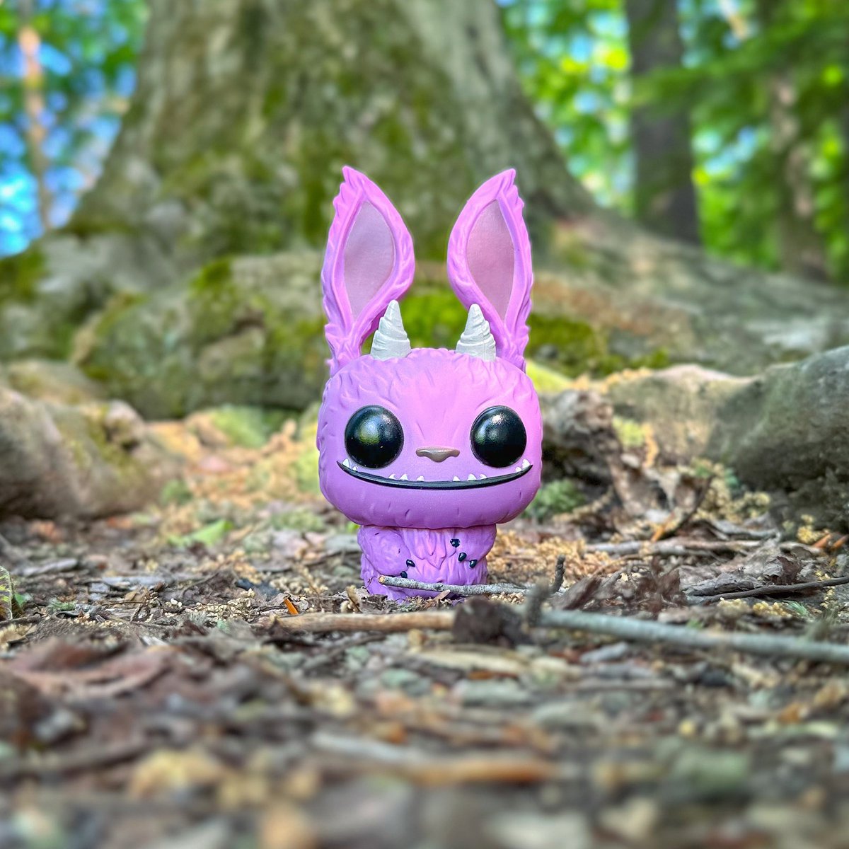 brunette_nerdet's tweet photo. 🌈Purple pops: Picklez
#picklez #wetmoreforest #rainbow🌈
@funko
#funkophotography
#funkofunatic
#myfunkostory https://t.co/42PFEB1d64