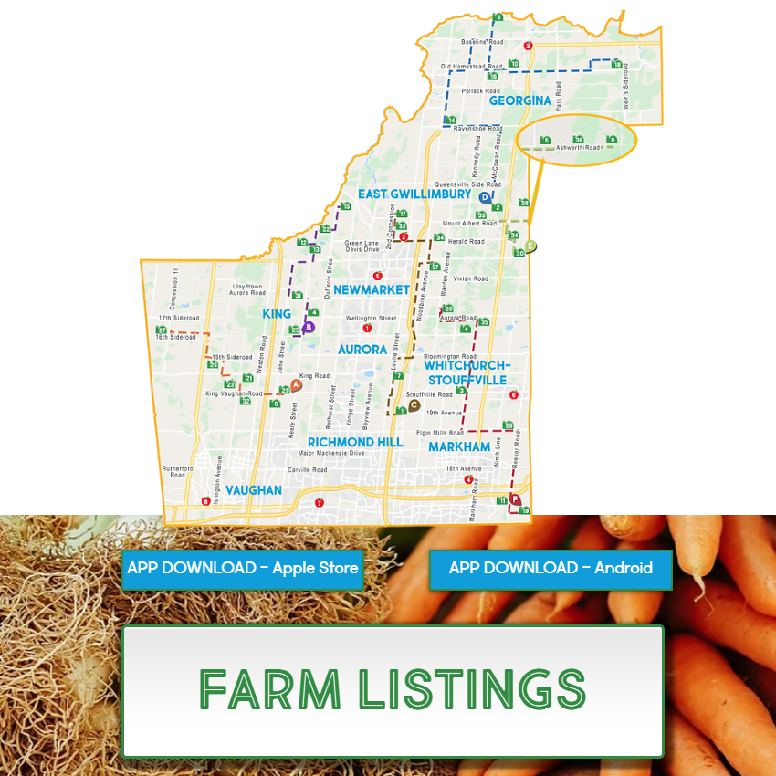 YorkLink's tweet photo. 🌱🥕 Celebrate #LocalFoodWeek with the #YorkFarmFresh Guide Map! 🗺️ Discover 39 incredible farms offering fresh, locally grown products. Download the app to embrace the flavors of our region and savor the goodness of local food! https://t.co/VHuYq2RC3b #SupportLocalFarms #YRFood https://t.co/diYXiUvN87