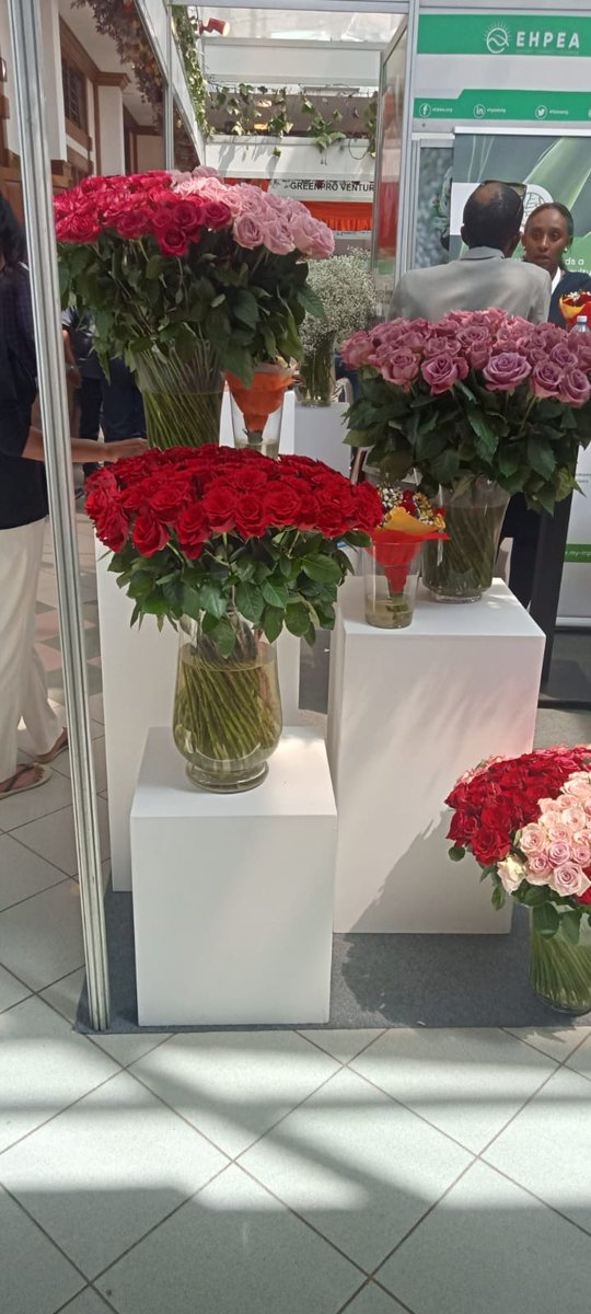 ETEmbassyNBO's tweet photo. Ethiopia showcases its Flowers at the seventh International Flower Trade Expo (IFTEX 2023) that took place at Oshwal Center, Nairobi. https://t.co/kC1QX5E9PN
#IFTEX #Ethiopia #InvestInEthiopia #EHPEA https://t.co/KAPuJ3jDjv