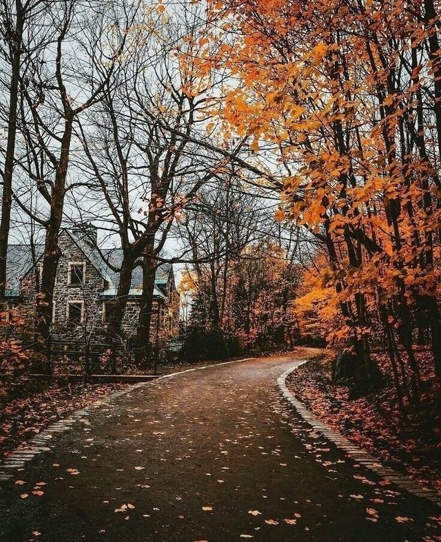 thespookygirll's tweet photo. i can feel the fall breeze in this picture https://t.co/FvF15XUW6a