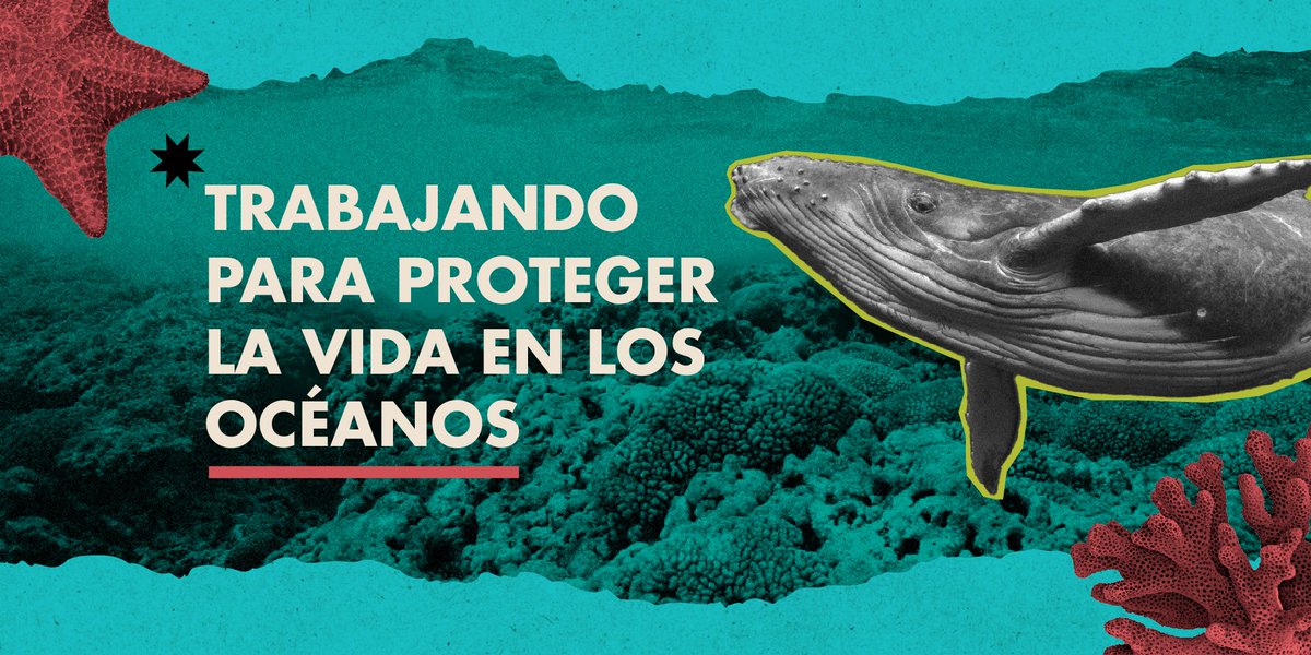 “Creemos que los océanos son solo para las personas sin pensar en los seres vivos que los habitan desde siempre y trabajan para sostenerlos”🐋🌊

En el #DíaMundialDeLosOcéanos tomemos acción para protegerlos. Más en blog del especialista Miguel Maldonado bit.ly/43Q5QIO
