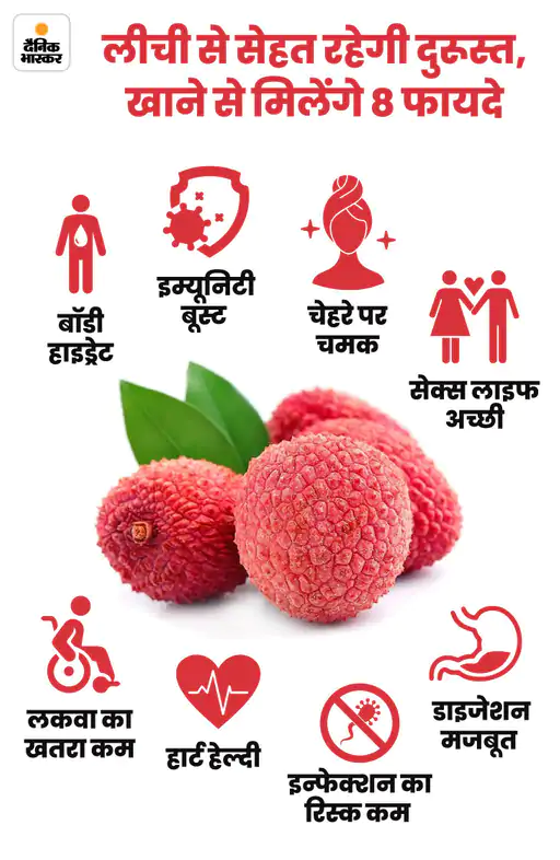 DainikBhaskar's tweet photo. लीची खाली पेट न खाएं: पानी में भिगोकर खाने का क्या है लॉजिक; बीज गले में अटक जाए तो क्या करें

#lichee #healthcare 

पढ़ें पूरी खबर -
https://t.co/zffuShPmnP https://t.co/8YZPXbr2U3