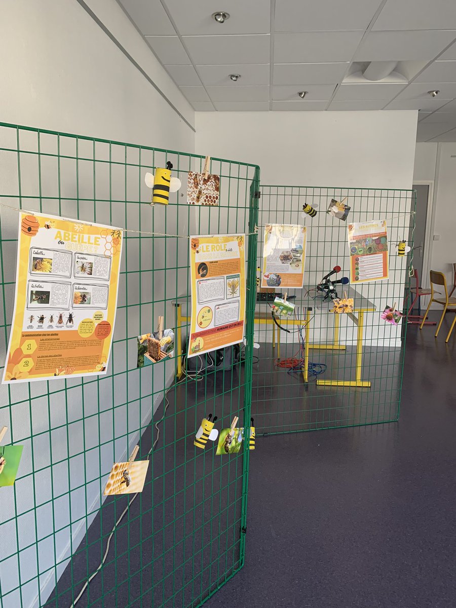 CDozule's tweet photo. Première JDD autour des abeilles et de l’alimentation. Exposition, vélo smoothie, dégustation et web radio avec un apiculteur. Reps végétarien au restaurant scolaire. Un grand merci aux écodélégués et à Nora. 
Demain bis repetita avec autour des thèmes de l’énergie et du tri. https://t.co/VaRzugM9cX