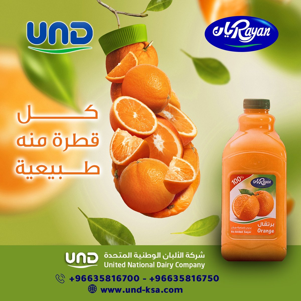 Rayan ريان tweet media