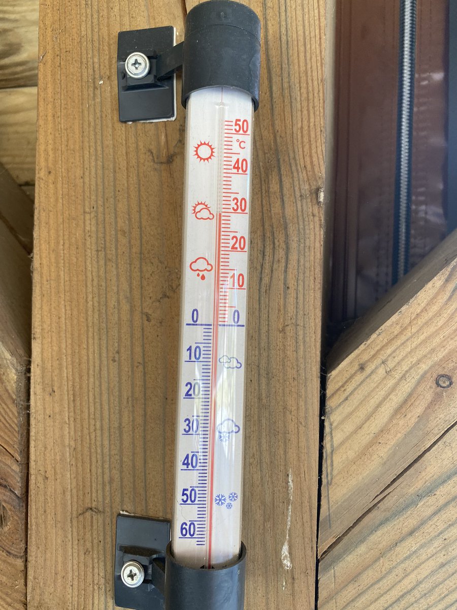 Aleksandra. tweet media