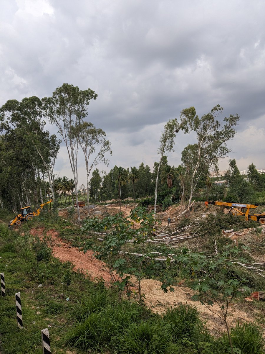 bengalurutrains's tweet photo. Tree cutting started at Bellandur Road station for track doubling
Once finished it will have
-2 Heightened platforms
-2 mainlines & 3 loop lines
-Foot over Bridge
#DoublingProject #Bellandur #Panattur https://t.co/tAVfSZYH9x