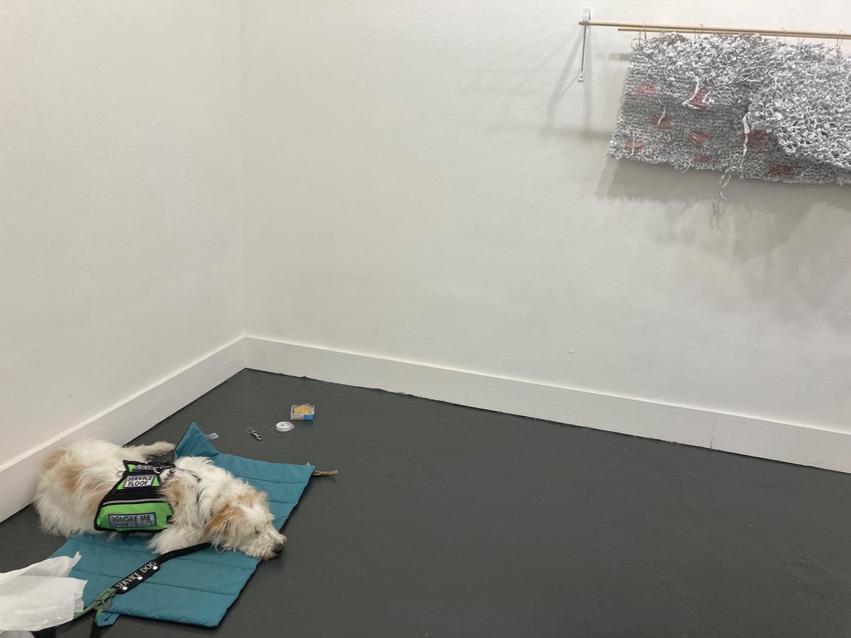 Got my piece installed yesterday for the Creative Futures exhibition at #hastac2023 <a href="/PrattInstitute/">Pratt Institute</a> 
So excited for today’s opening reception!

Tizzy was the best gallery supervisor who needs his own wall text 
(more pics forthcoming ofc)