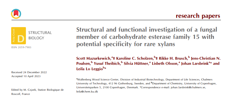 Check out the paper by Indbio researcher Scott Makurkewich where he and his collaborators investigate an carbohydrate esterase enzyme from the fungus Lentithecium fluviatile with potential specificity for rare xylans. journals.iucr.org/d/issues/2023/… #xylans #CE15